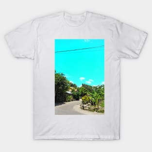 village view T-Shirt